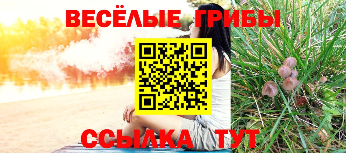 Псилоцибиновые грибы мухоморы  Вход с VPN  что такое   Псилоцибиновые грибы ЛСД  Раменское 